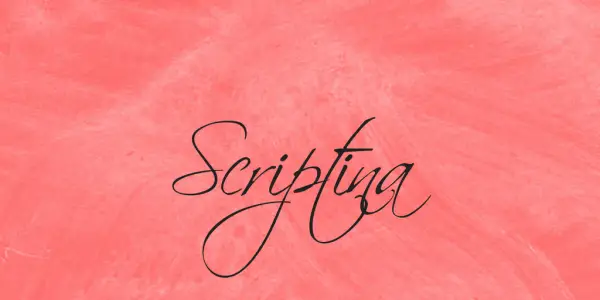 50+ Best Script Fonts – Free Download
