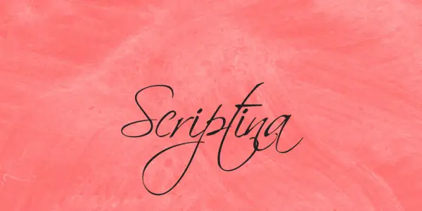 Best Script Fonts