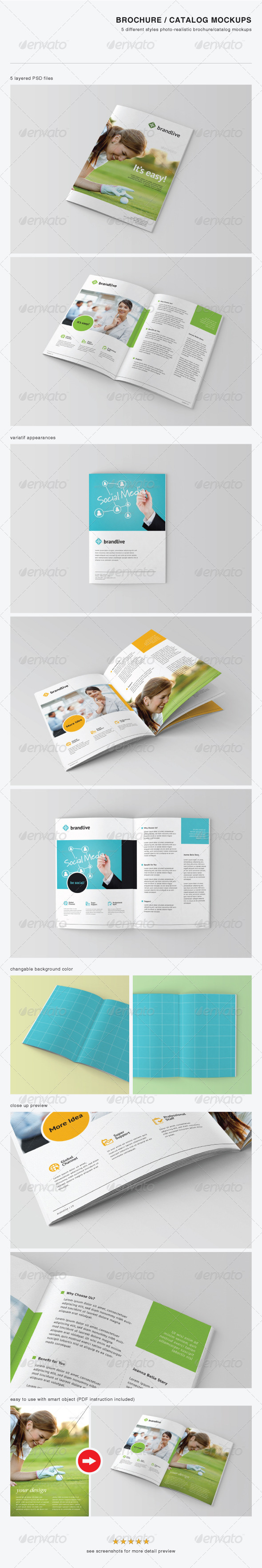 Brochure and Catalog Mockups