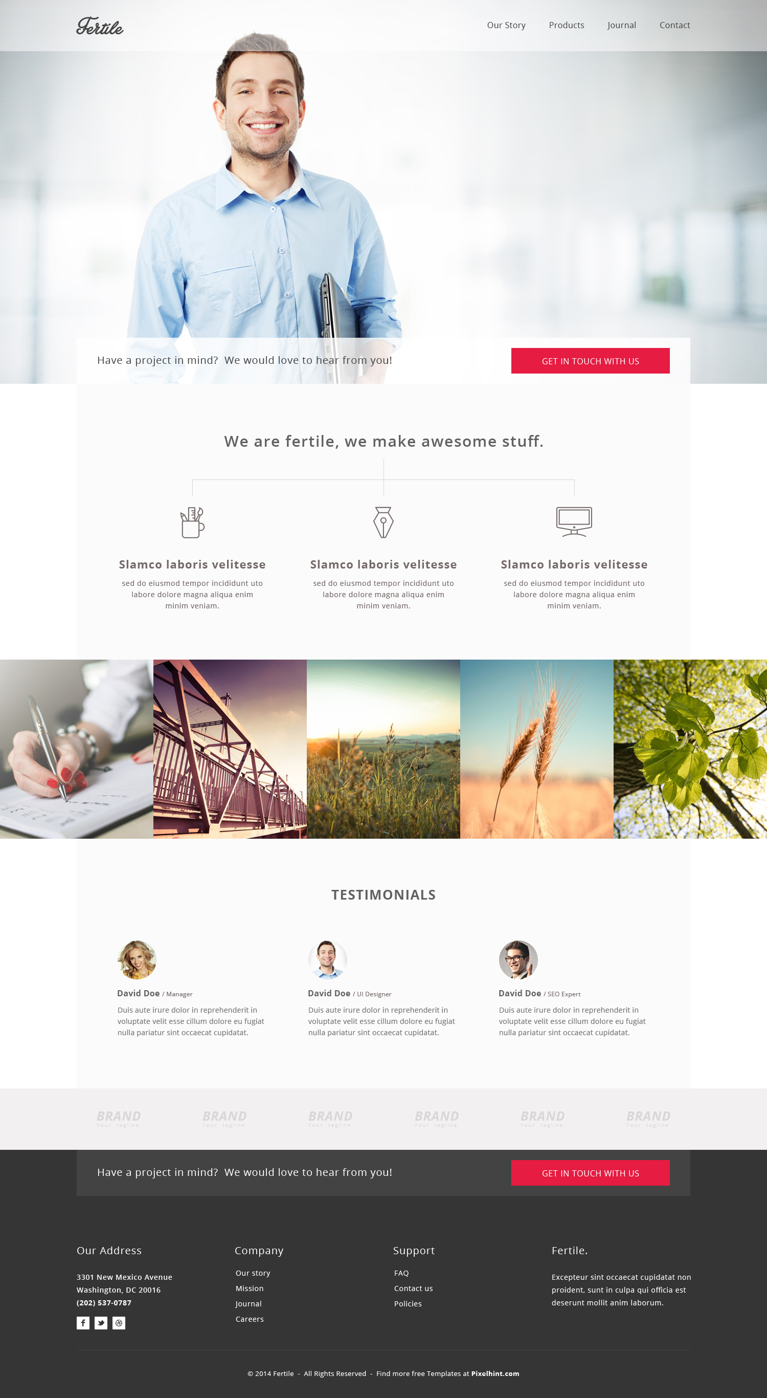 Ferile - A Free HTML5 CSS3 Website Template