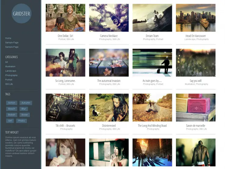 Gridster Lite WordPress Portfolio Theme