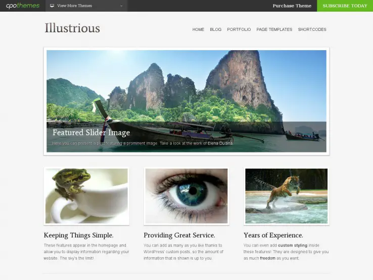 Illustrious WordPress Portfolio Theme