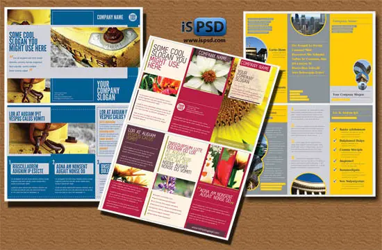 Pack of Tri-fold PSD Brochures Templates