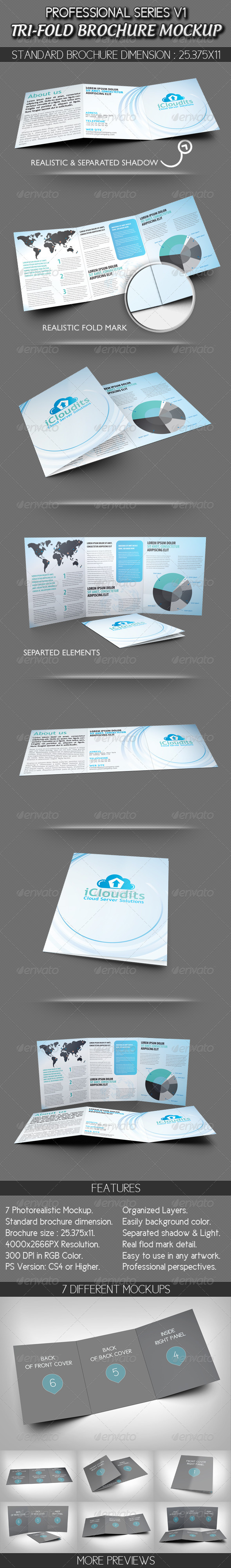 Professional Tri-fold Brochure Mockup V1