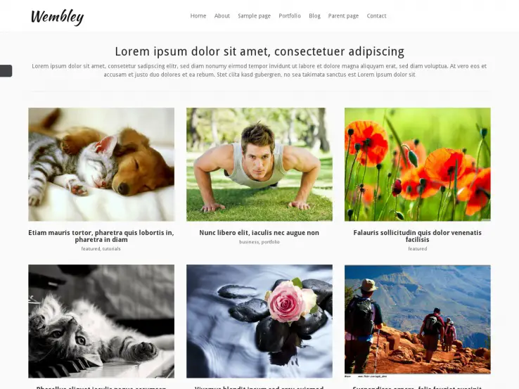 Wembly WordPress Portfolio Theme