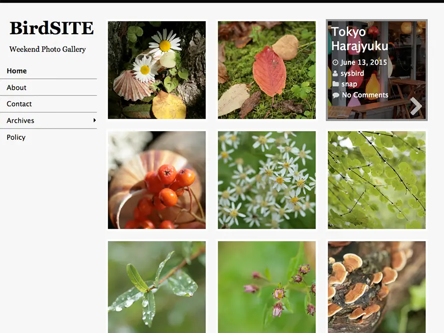 BirdSITE WordPress Photography Theme