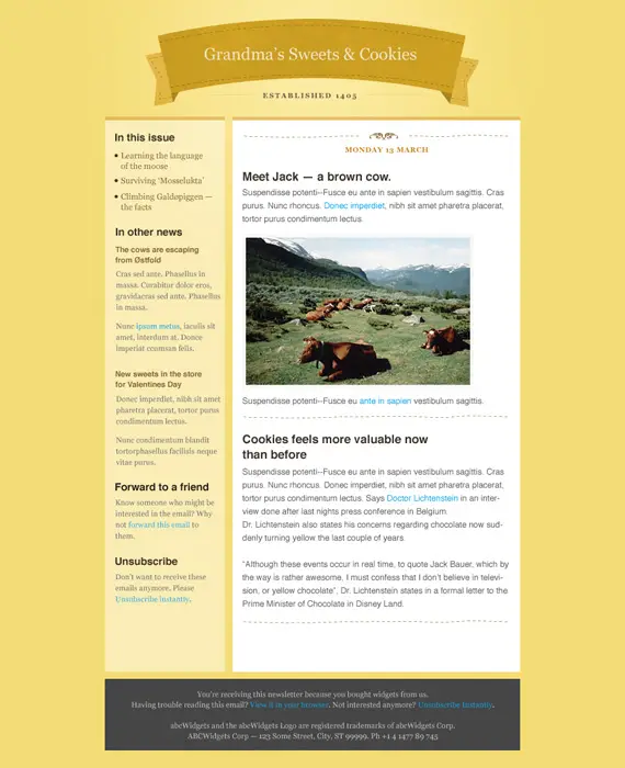 Boutique Email Newsletter Template