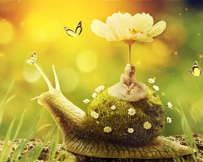 Create a Surreal Snail with a Grassy Shell in Photoshop