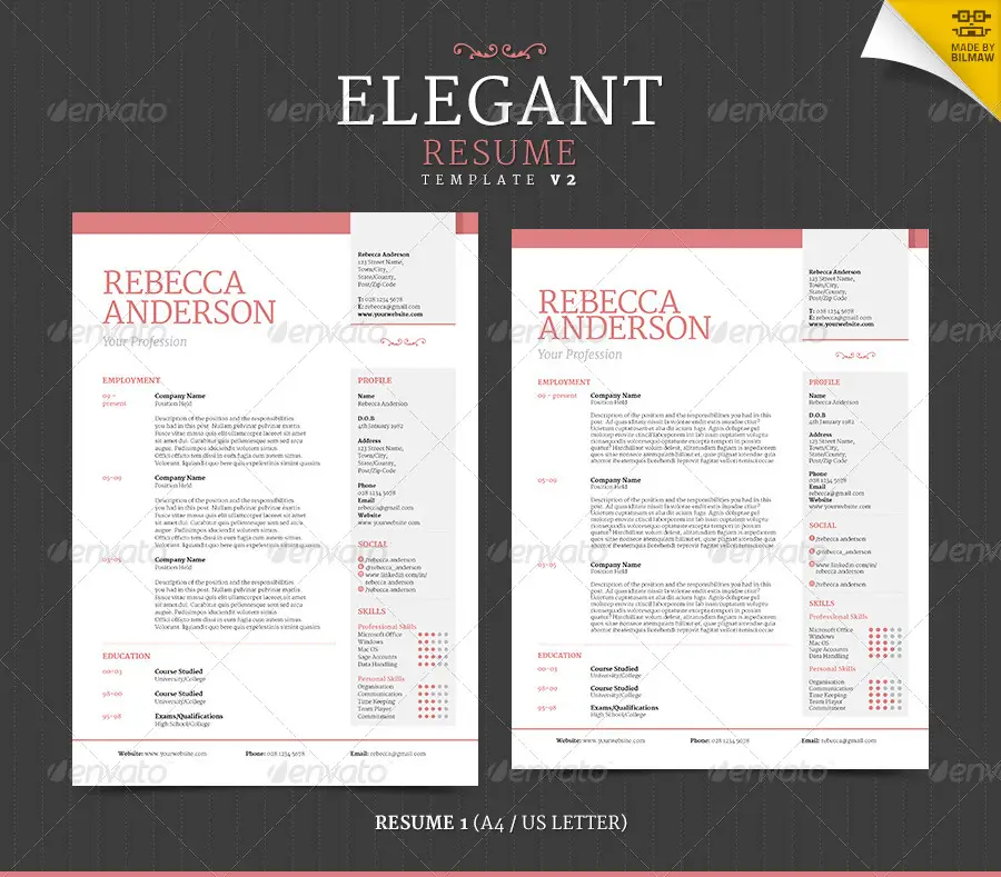 Elegant Resume CV V2