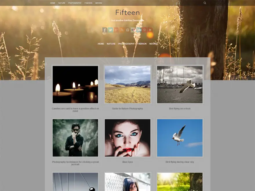 Fifteen WordPress Photography Theme