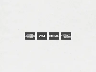 Flat Credit Card Icons Vector
