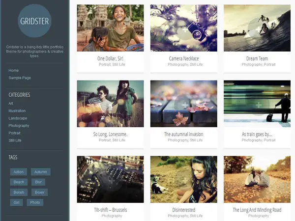 Gridster-Lite WordPress Photography Theme