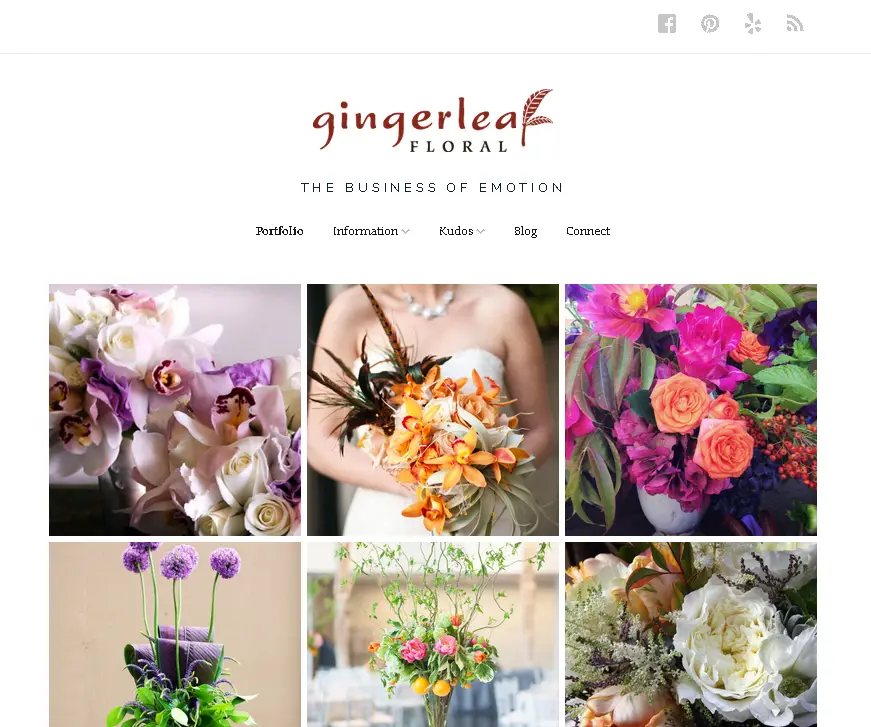 Free Photography WordPress Themes for Photographers