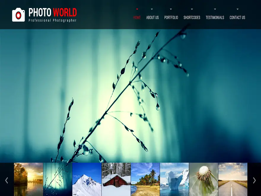 Photo World WordPress Photography Theme