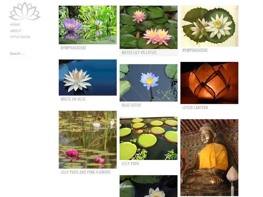 Water Lily WordPress Photography Theme