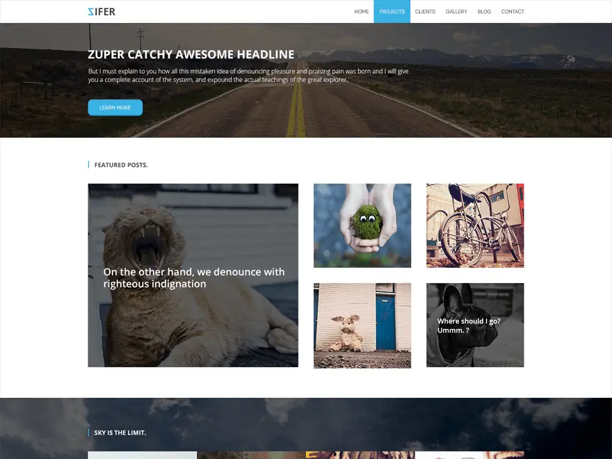 Zifer Child WordPress Photography Theme