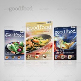 Best Magazine Templates