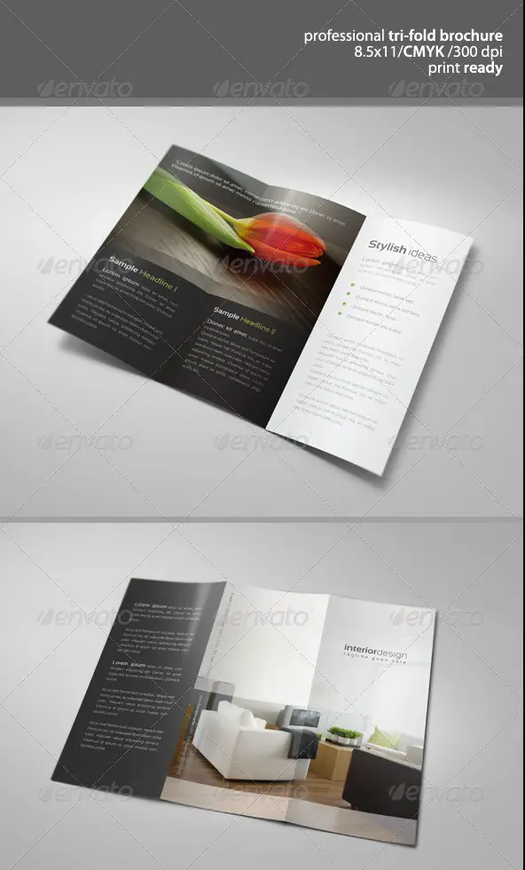 Modern Tri-Fold Brochure