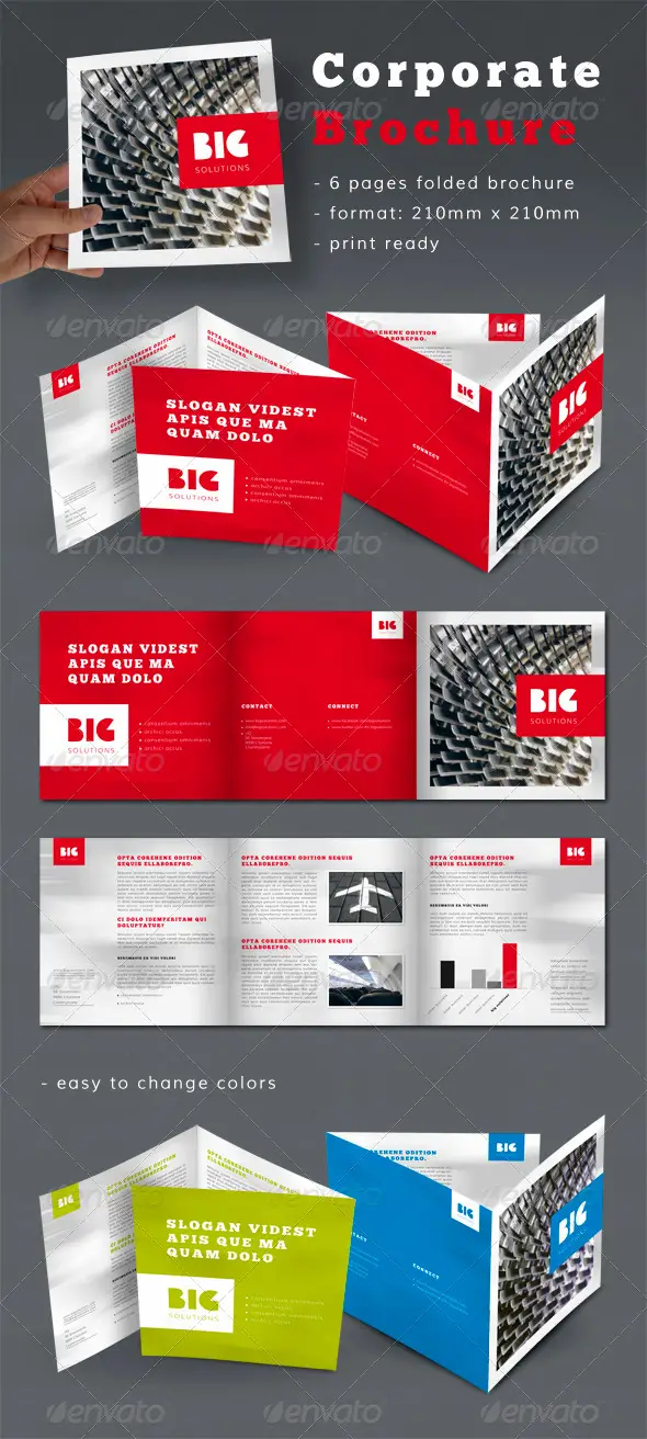 Professional Corporate Brochure