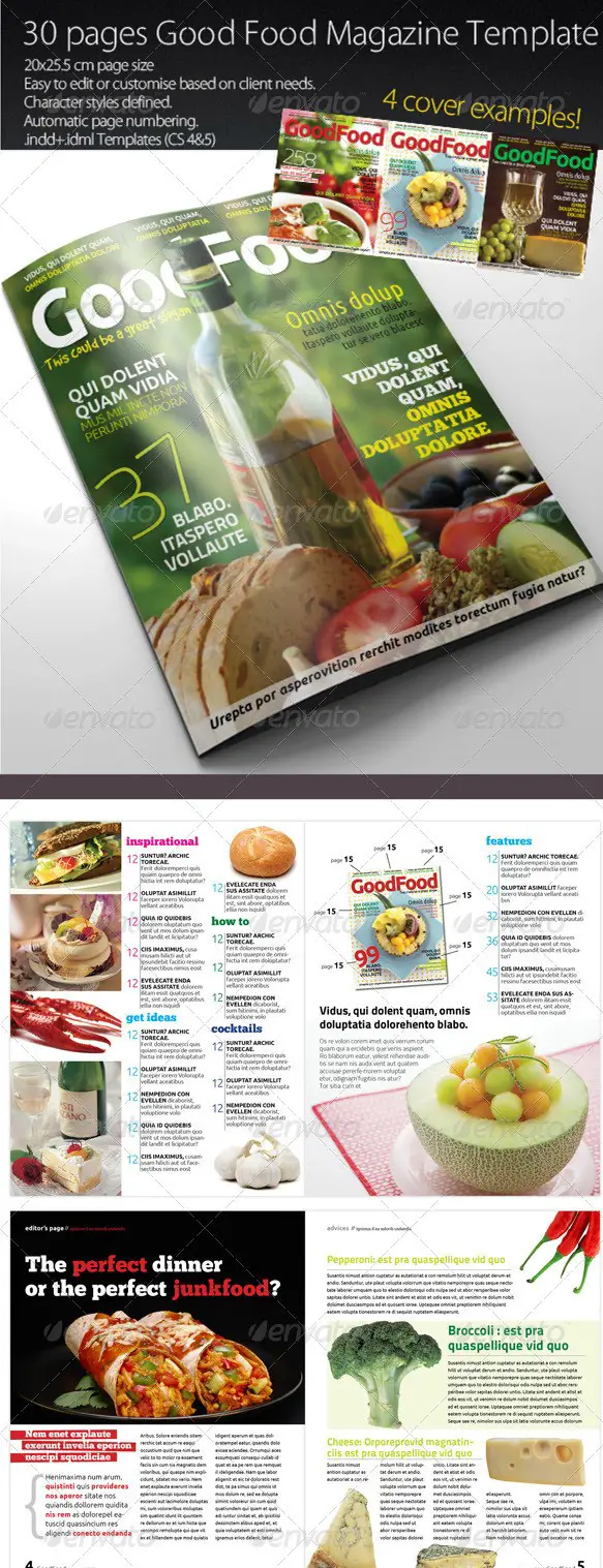 Good Food Magazine Template