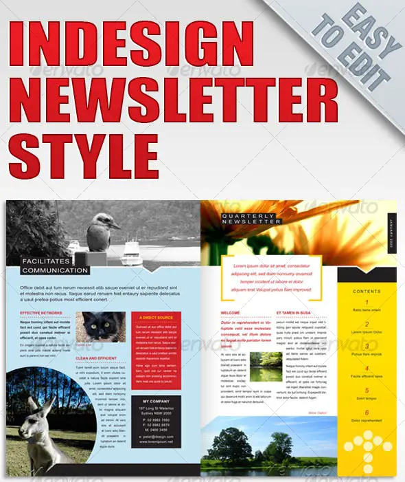 Newsletter Style Template