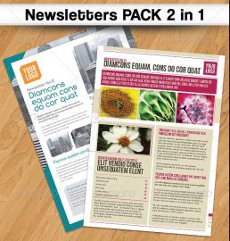 46+ Printable Newsletter Templates in PSD &amp; InDesign Formats - Detailed ...