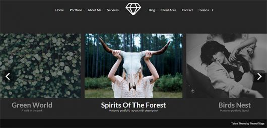 Best Horizontal WordPress Themes For Photographers and Artists