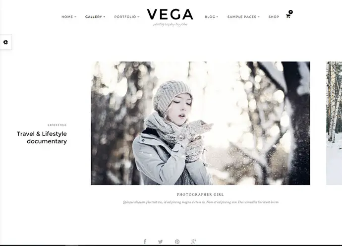 Vega Theme