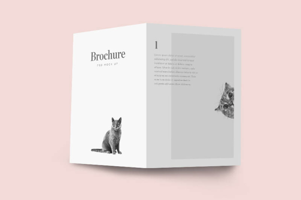 Free Bi-Fold Brochure Mockup