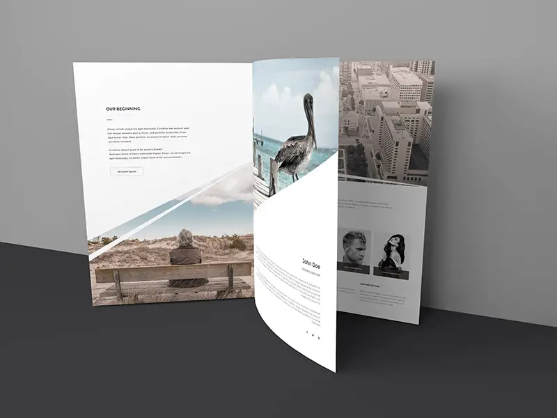 Free Three Page Brochure Mockup